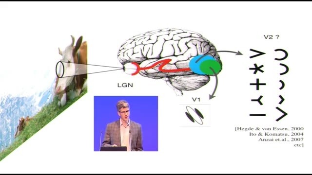 紐約大學神經學教授Eero Simoncelli萬字解析：機器生成的圖像爲何能騙過你的眼睛？| ICLR 2017