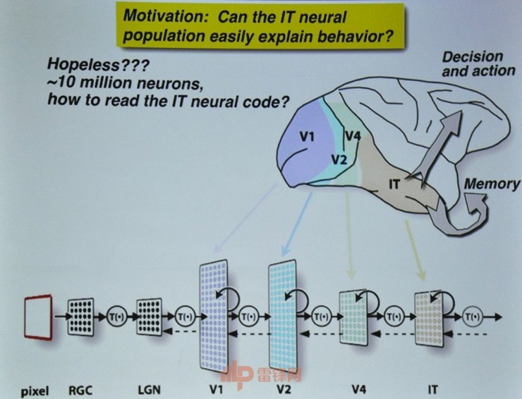 殊途同歸還是漸行漸遠？MIT神經科學教授James DiCarlo談如何通過人類神經理解神經網絡