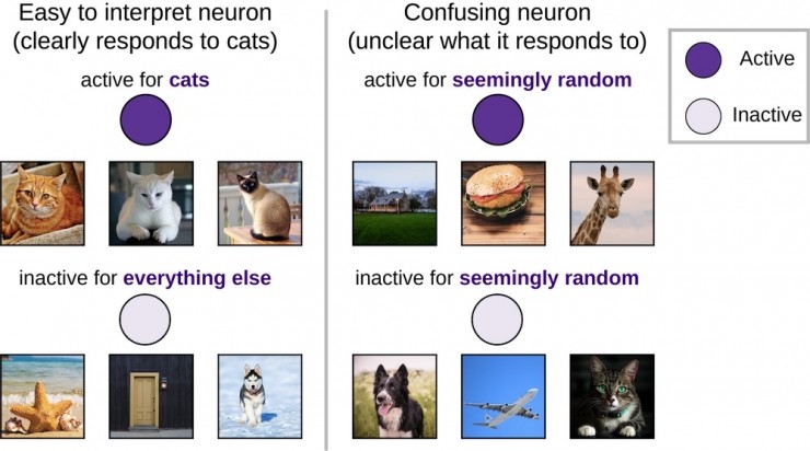  DeepMind論文搶先看：通過刪除神經元來了解深度學習