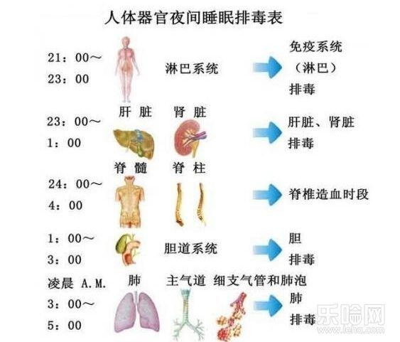 医生告诫:身体4个症状一出现,小心肝毒过多,需要给肝脏洗洗澡!