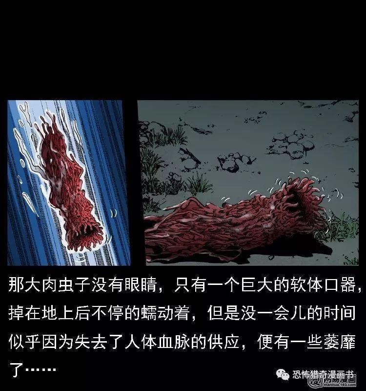 民间故事,可怕又神秘的苗寨蛊毒-虫蛊