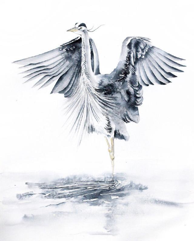 偏爱飞禽走兽,鸟类主题水彩插画—羽毛刻画细致入微